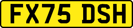 FX75DSH