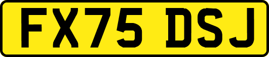 FX75DSJ