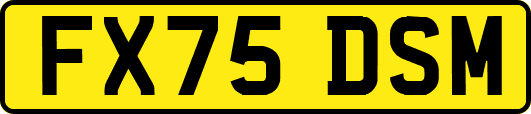 FX75DSM