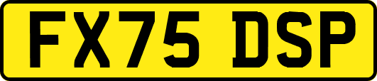 FX75DSP