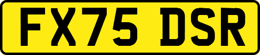 FX75DSR