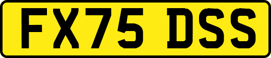 FX75DSS