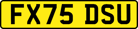 FX75DSU