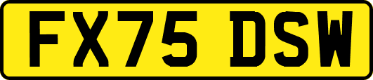 FX75DSW