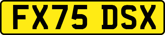 FX75DSX