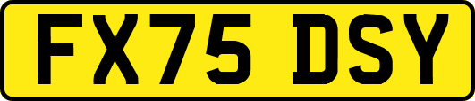 FX75DSY