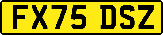 FX75DSZ