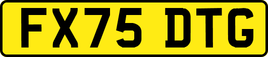 FX75DTG