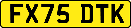 FX75DTK