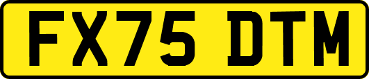 FX75DTM