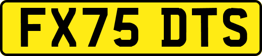 FX75DTS