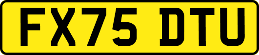 FX75DTU