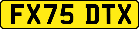 FX75DTX