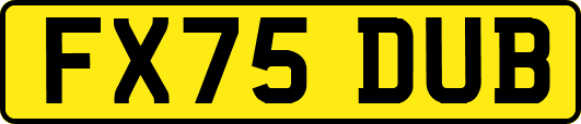 FX75DUB