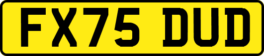 FX75DUD