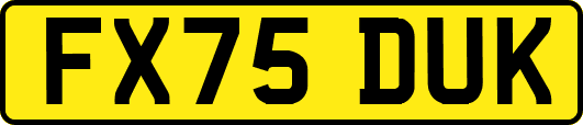 FX75DUK