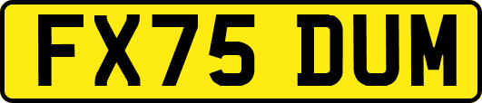FX75DUM