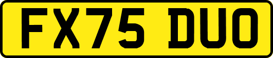 FX75DUO