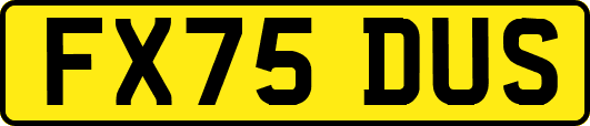 FX75DUS