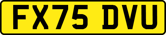 FX75DVU