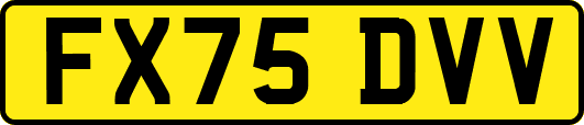 FX75DVV