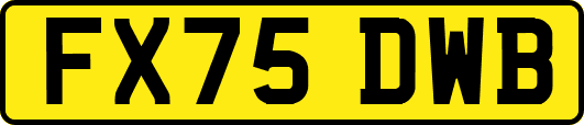 FX75DWB