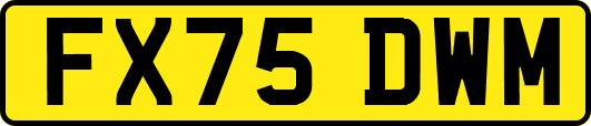 FX75DWM