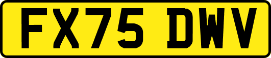FX75DWV