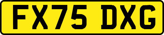 FX75DXG