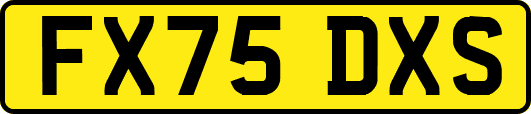 FX75DXS