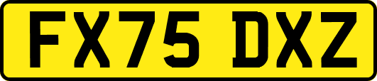 FX75DXZ