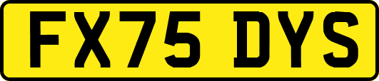 FX75DYS