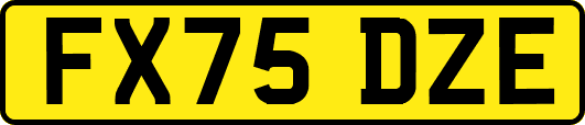 FX75DZE