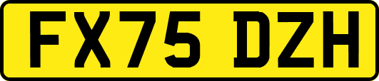 FX75DZH