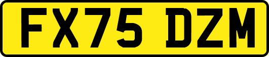 FX75DZM