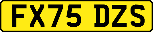 FX75DZS