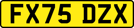 FX75DZX