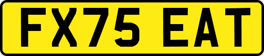 FX75EAT