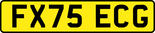 FX75ECG