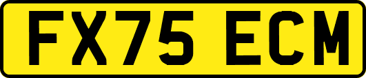 FX75ECM