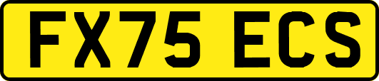 FX75ECS
