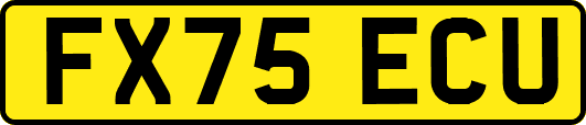 FX75ECU