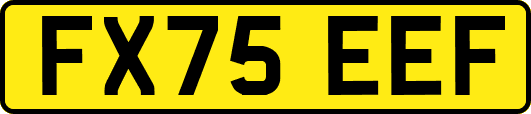 FX75EEF