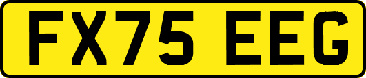 FX75EEG