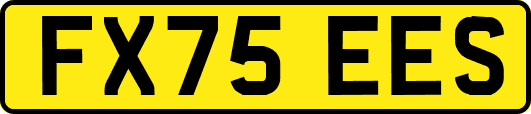 FX75EES