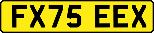FX75EEX