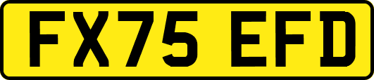 FX75EFD