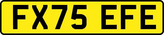 FX75EFE