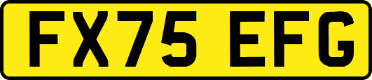 FX75EFG
