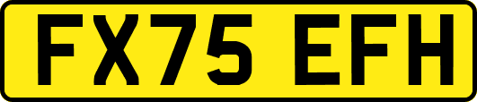 FX75EFH